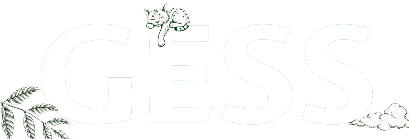 Guess Image